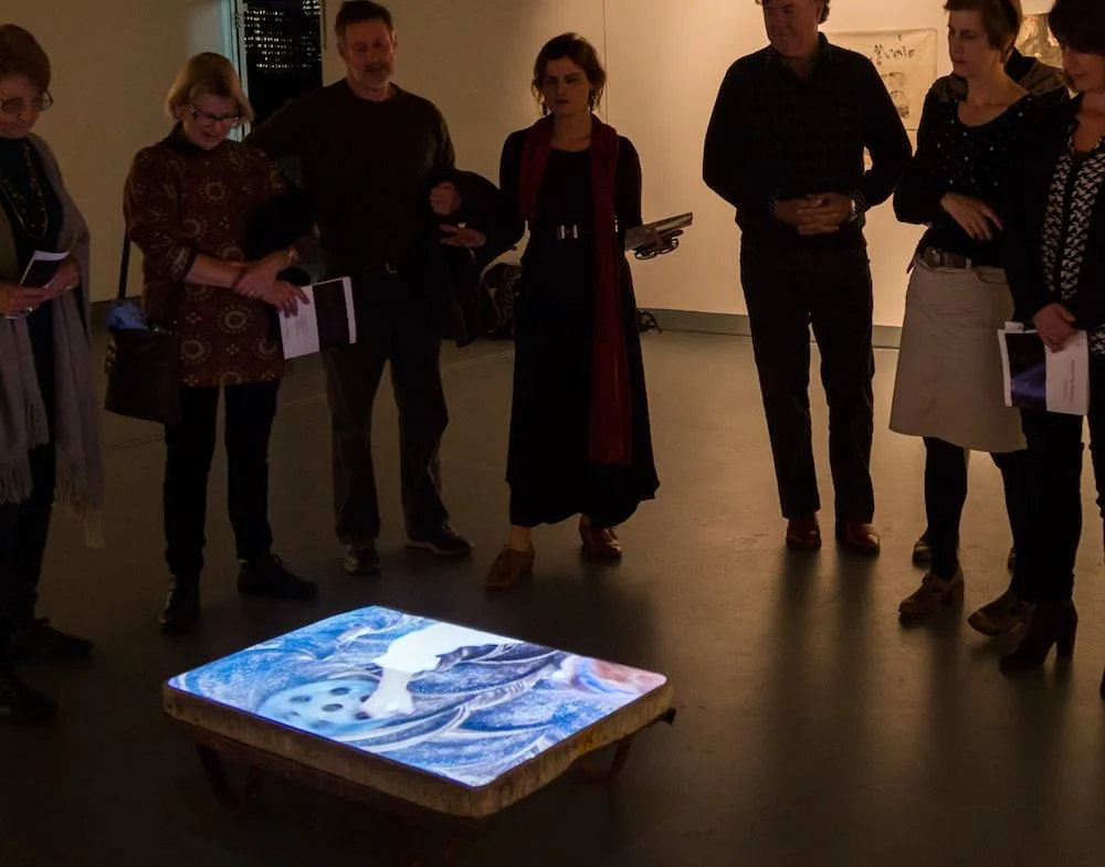 Opening night, Video installation- 26 July 2015.