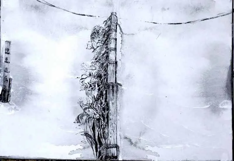 Barrier series