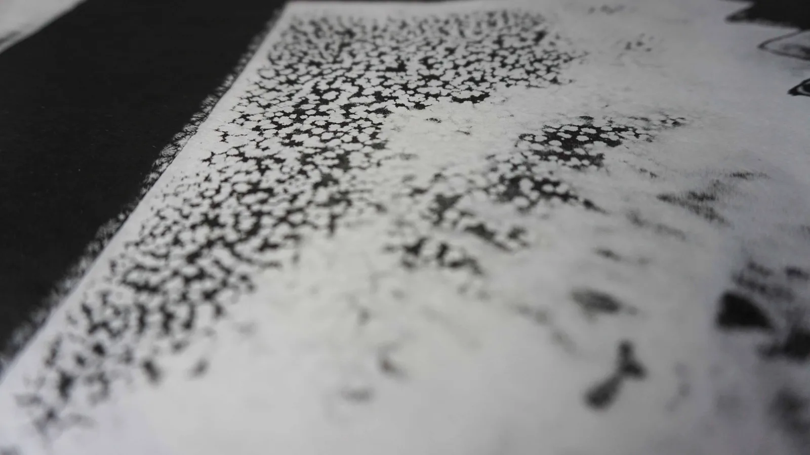 Decennium: Ten Years of the Iain Tunbull Memorial Award