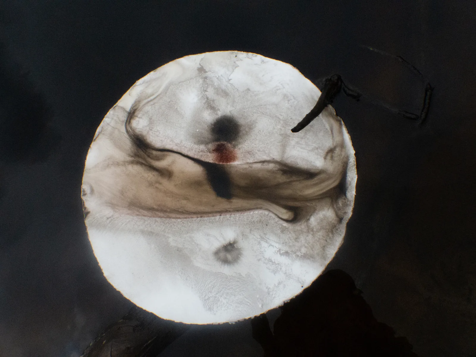 khadi paper floats on the tannin stained waters at the Lower Glenelg NP, Victoria