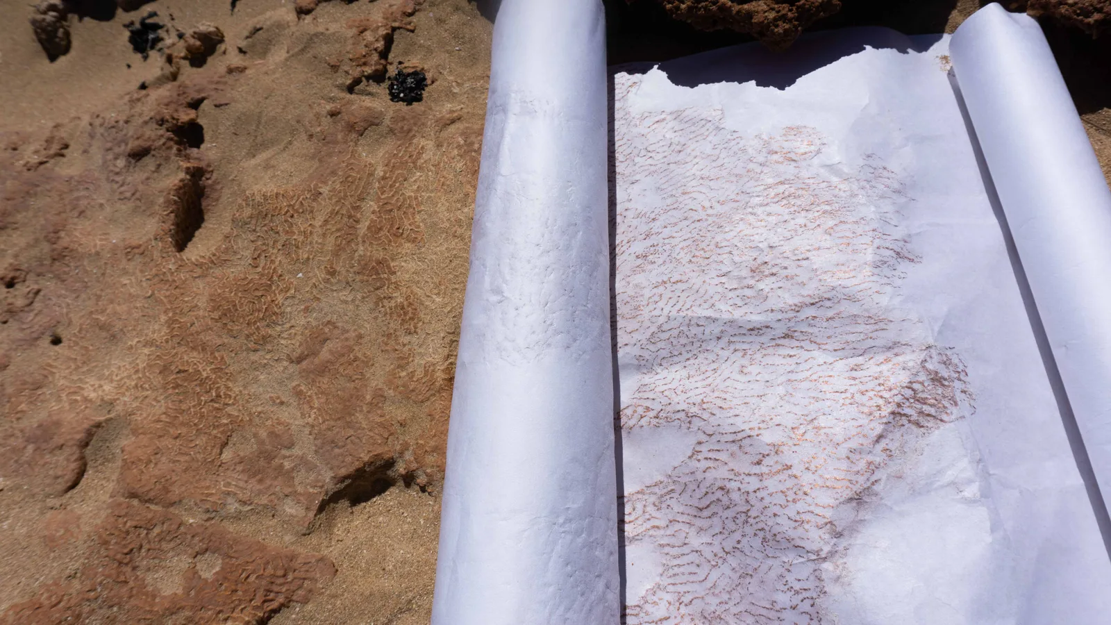 Taking rubbings at Cape Range NP
