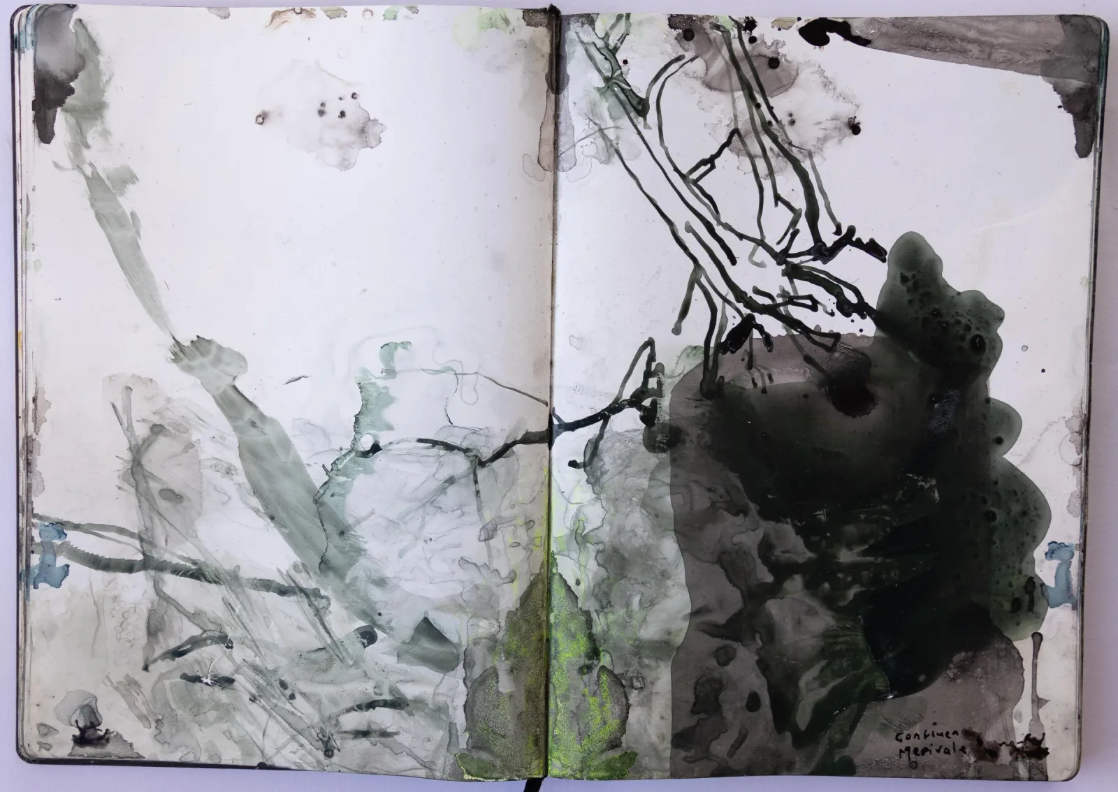 Artist book Chain of Ponds PAGE